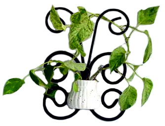 ArtSteel Blomsterholder wac02